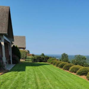 Deep Green Lawn Care - Landscaping, Weed Control, & Lawn Maintenance