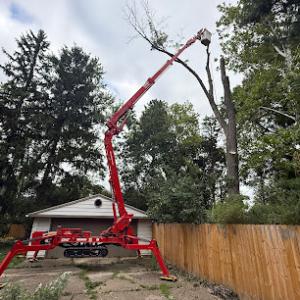 Vena's Nursery Tree Sales & Removal