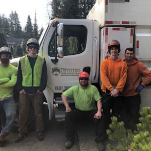 Devoted Tree Solutions