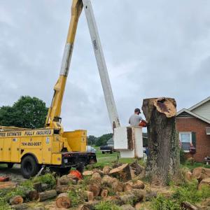 Tucker's Tree Service