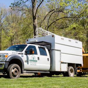 Hometown Tree Experts