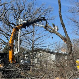 Minnihan's Tree Service