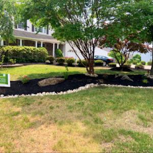 Lawn Buds Property Management