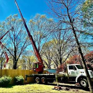 R&R Tree Service