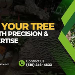 Leader Tree Service