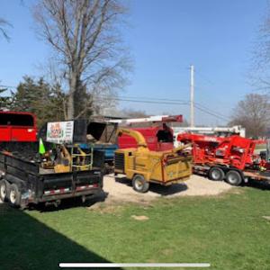 Bieniek Tree Service