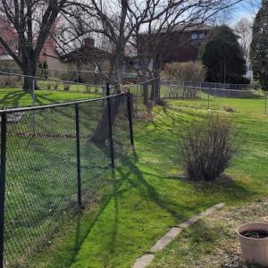 American Pride Services