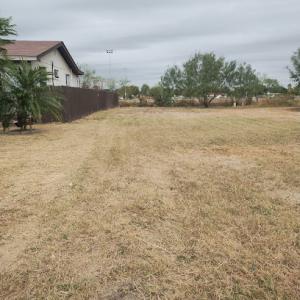 Tuff turf landscape & design