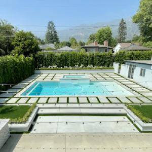 Tree Service Sg Monarch