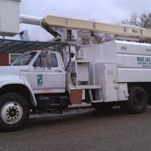 Make Like a Tree: Professional Tree Care