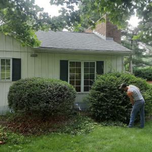 Squirrels Nest Tree Service
