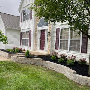 Dr. Wood Arborist & Landsdape Specialist