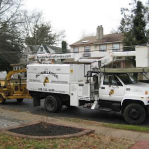 Bumblebee Tree Service & Landscape Design