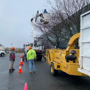 Figuemax Tree Service