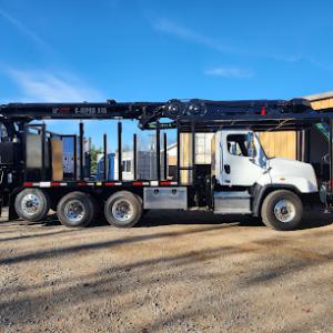 Tree & Stump Removal Service