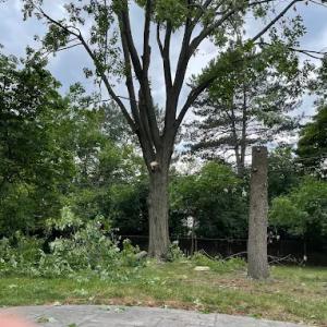 WB Landscape Services