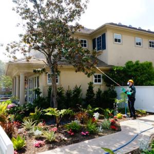 Sims Tree Health Specialists