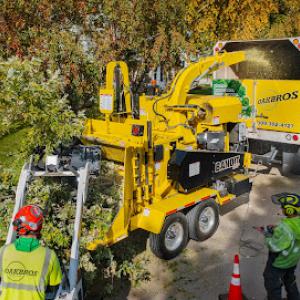 Oak Bros Tree Care & Removal