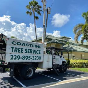 Coastline Tree Service