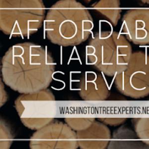 Washington Tree Experts