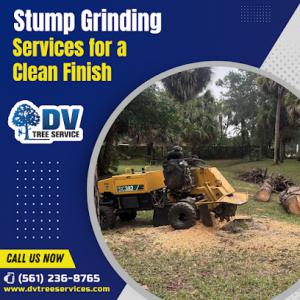 Daniel Valencia Tree Service