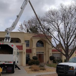 Robert's Tree Service