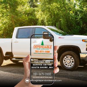 Dependable Tree Service
