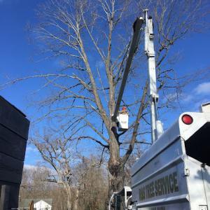 R & S Tree Service