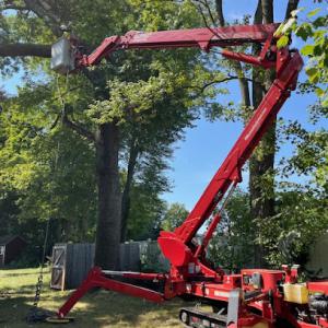 Shady Shelton Tree Service