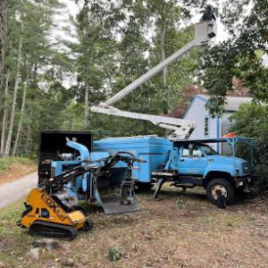 Colonial Tree Service