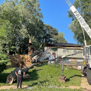 MTS-Pro Tree Service & Landscaping