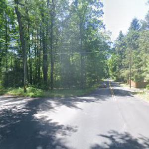 Better Tree & Shrub Care