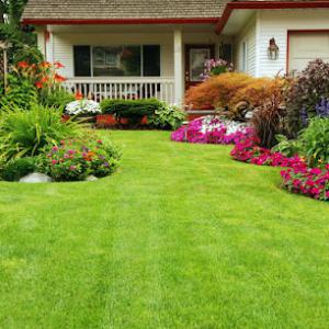 Gonzalez Landscaping & Home Care