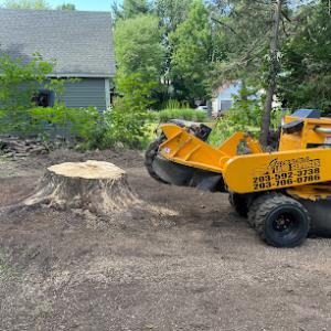 GLS Stump Grinding