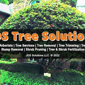 JDS Tree Solutions