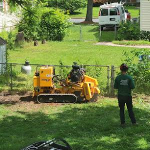 Edwin's Tree & Garden