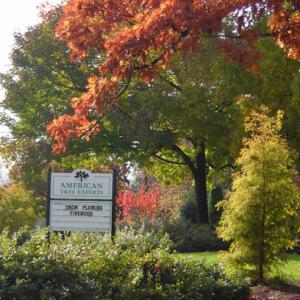 American Tree Experts