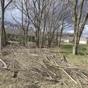 Angel's Tree Service