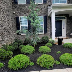 Procare Property Services