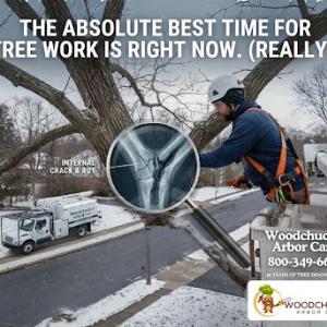 Woodchuck's Arbor Care