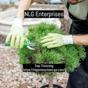 NLG Enterprises