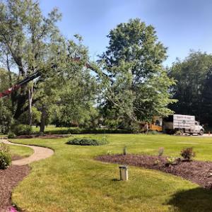 Treemasters Tree Services