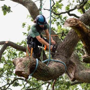 Kelli's Outdoor Care