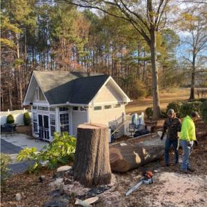 Out on a Limb Tree Service of Dacula