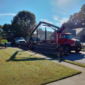 Allgreen Tree Services