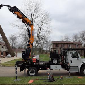 ArborCare Tree Service