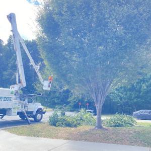 Durwood Tree Service