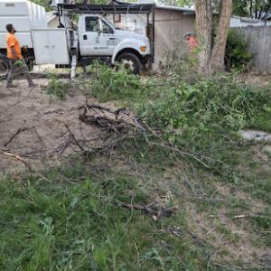 Integrity Tree Service