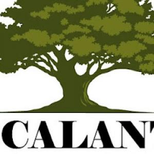 Escalante Tree Service