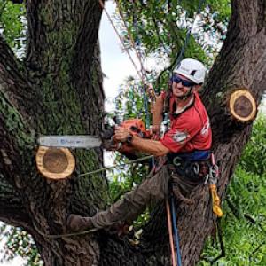 Cutting Edge Tree Professionals